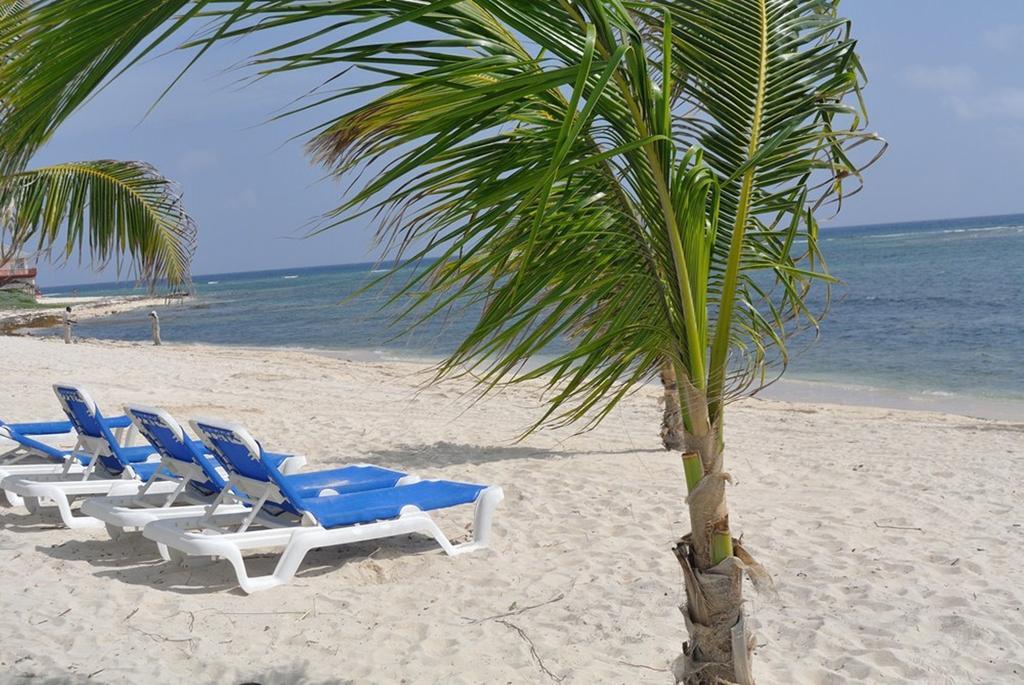 คาสตะเวย์ เคย์แมน บีช รีสอร์ท Grand Cayman ภายนอก รูปภาพ